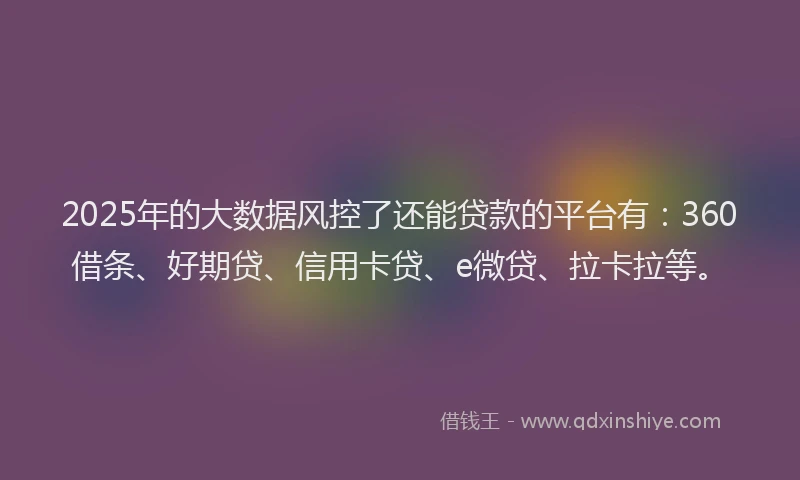 2025年的大数据风控了还能贷款的平台有：360借条、好期贷、信用卡贷、e微贷、拉卡拉等。