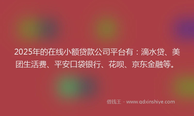 2025年的在线小额贷款公司平台有：滴水贷、美团生活费、平安口袋银行、花呗、京东金融等。
