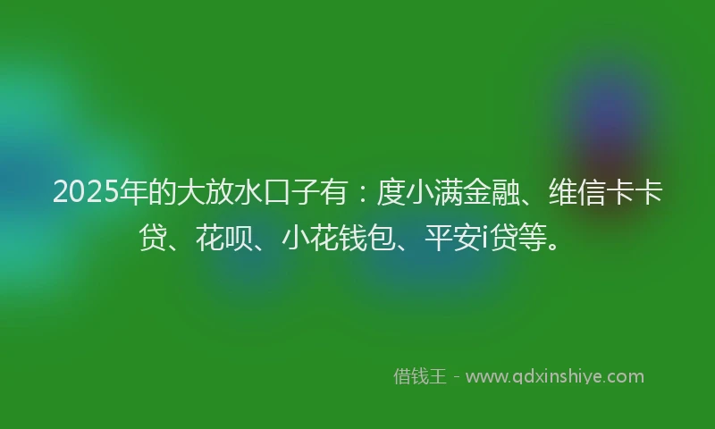 2025年的大放水口子有：度小满金融、维信卡卡贷、花呗、小花钱包、平安i贷等。
