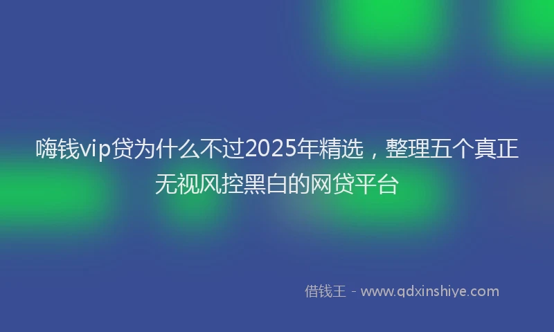 嗨钱vip贷为什么不过2025年精选，整理五个真正无视风控黑白的网贷平台