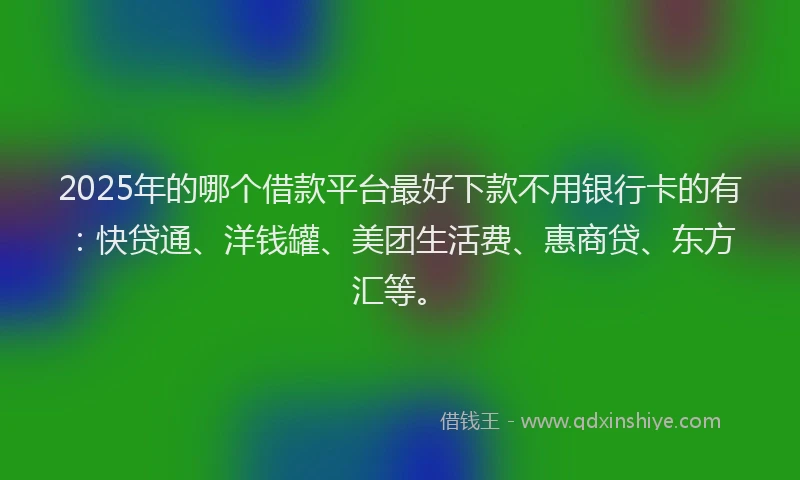 2025年的哪个借款平台最好下款不用银行卡的有：快贷通、洋钱罐、美团生活费、惠商贷、东方汇等。