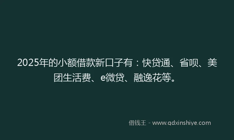 2025年的小额借款新口子有：快贷通、省呗、美团生活费、e微贷、融逸花等。
