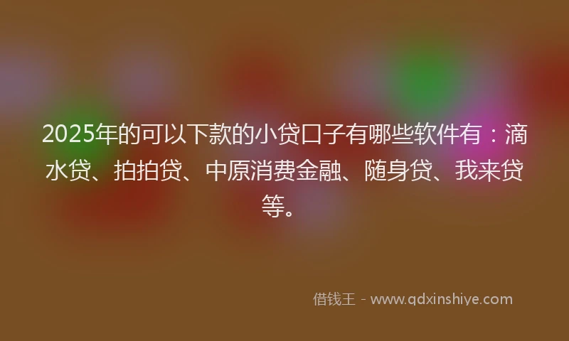 2025年的可以下款的小贷口子有哪些软件有：滴水贷、拍拍贷、中原消费金融、随身贷、我来贷等。
