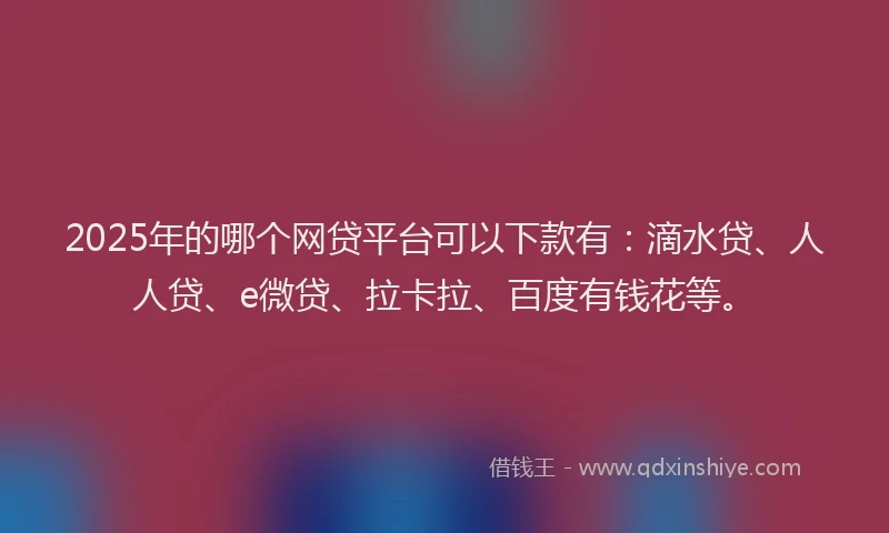 2025年的哪个网贷平台可以下款有：滴水贷、人人贷、e微贷、拉卡拉、百度有钱花等。