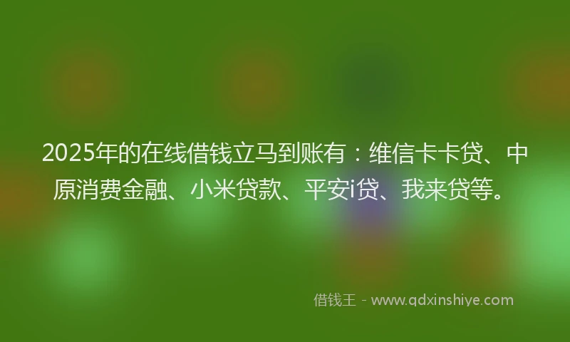 2025年的在线借钱立马到账有：维信卡卡贷、中原消费金融、小米贷款、平安i贷、我来贷等。