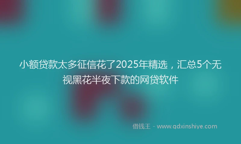 小额贷款太多征信花了2025年精选，汇总5个无视黑花半夜下款的网贷软件
