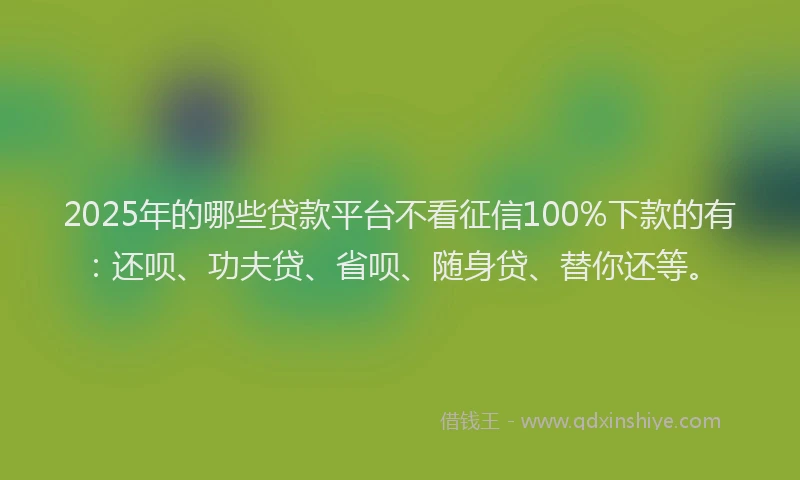 2025年的哪些贷款平台不看征信100%下款的有：还呗、功夫贷、省呗、随身贷、替你还等。