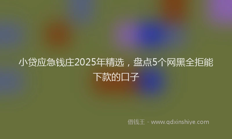 小贷应急钱庄2025年精选，盘点5个网黑全拒能下款的口子