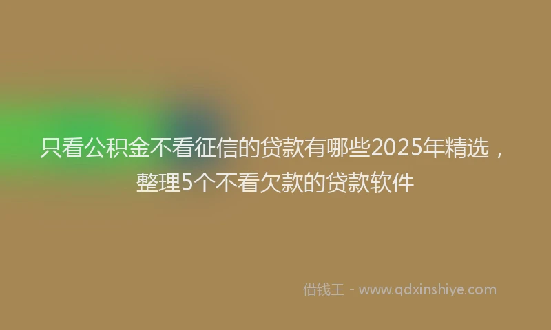 只看公积金不看征信的贷款有哪些2025年精选，整理5个不看欠款的贷款软件