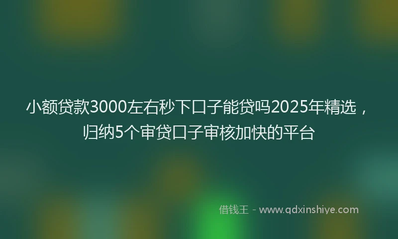小额贷款3000左右秒下口子能贷吗2025年精选，归纳5个审贷口子审核加快的平台