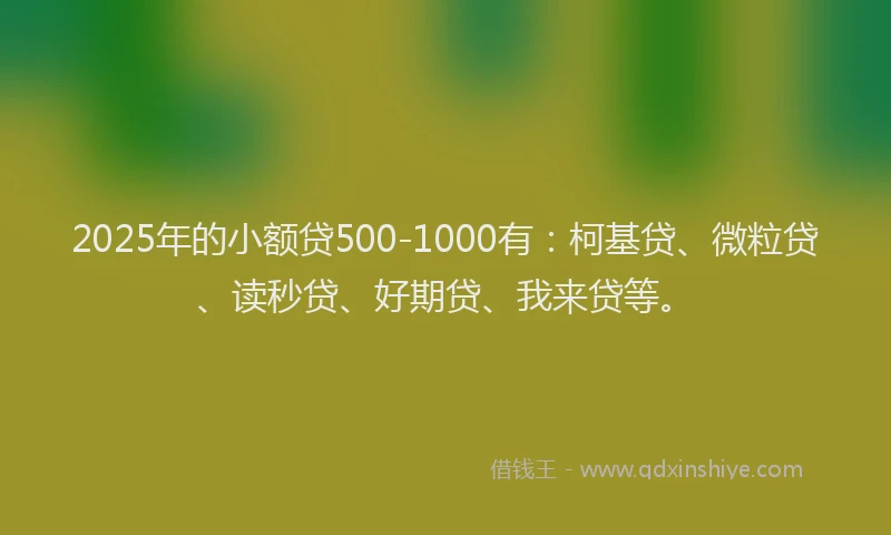 2025年的小额贷500-1000有：柯基贷、微粒贷、读秒贷、好期贷、我来贷等。