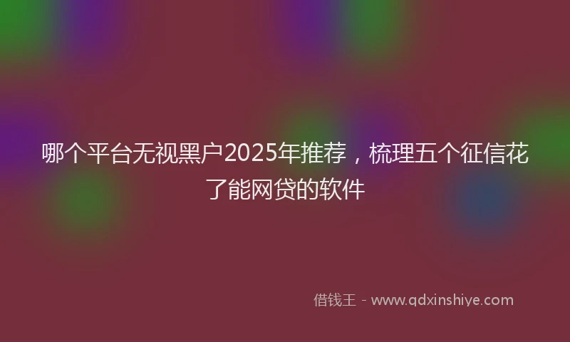 哪个平台无视黑户2025年推荐，梳理五个征信花了能网贷的软件