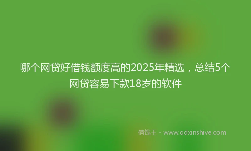 哪个网贷好借钱额度高的2025年精选，总结5个网贷容易下款18岁的软件
