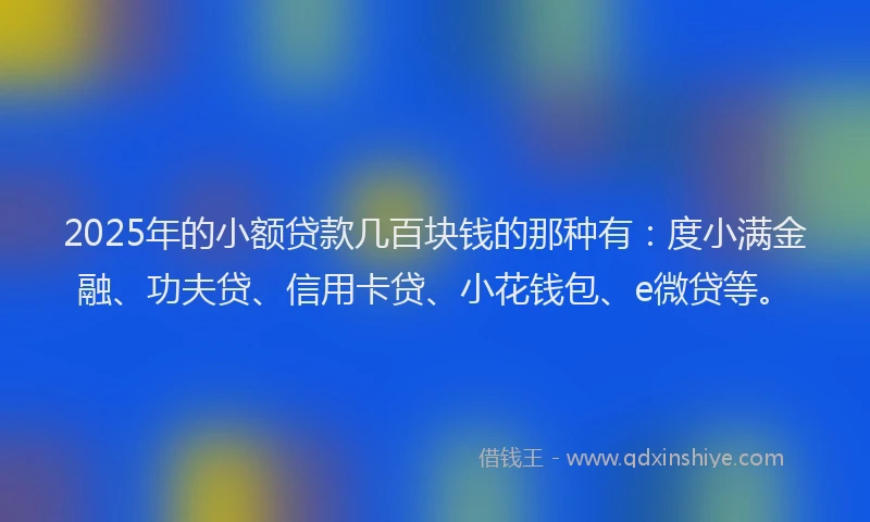 2025年的小额贷款几百块钱的那种有：度小满金融、功夫贷、信用卡贷、小花钱包、e微贷等。