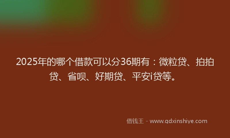 2025年的哪个借款可以分36期有：微粒贷、拍拍贷、省呗、好期贷、平安i贷等。
