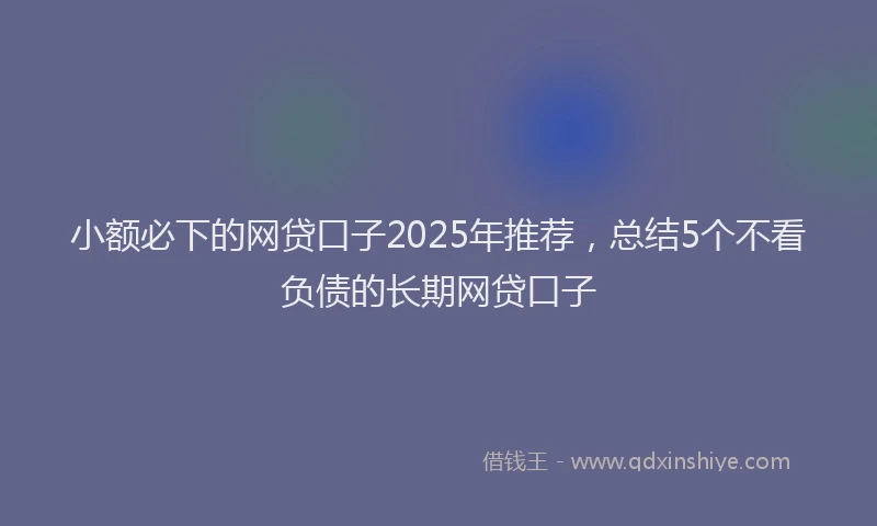 小额必下的网贷口子2025年推荐，总结5个不看负债的长期网贷口子