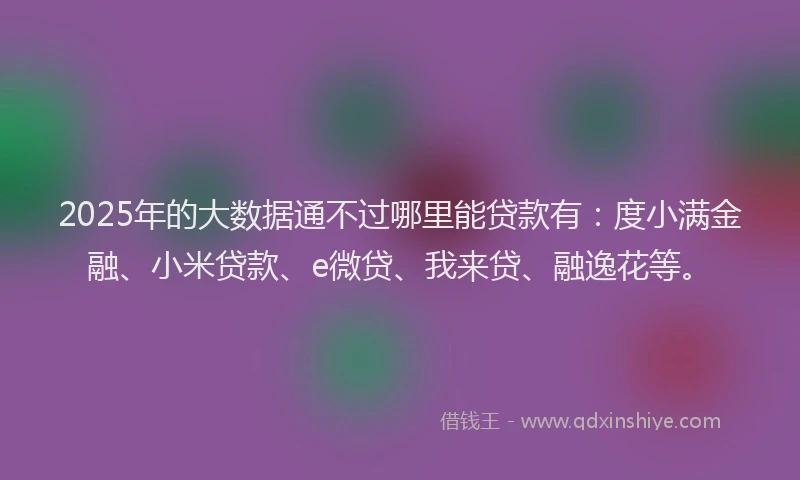 2025年的大数据通不过哪里能贷款有：度小满金融、小米贷款、e微贷、我来贷、融逸花等。