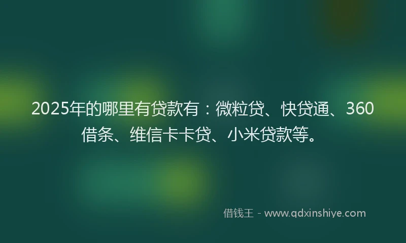 2025年的哪里有贷款有：微粒贷、快贷通、360借条、维信卡卡贷、小米贷款等。