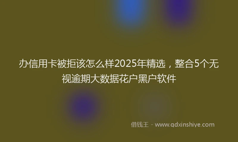 办信用卡被拒该怎么样2025年精选，整合5个无视逾期大数据花户黑户软件