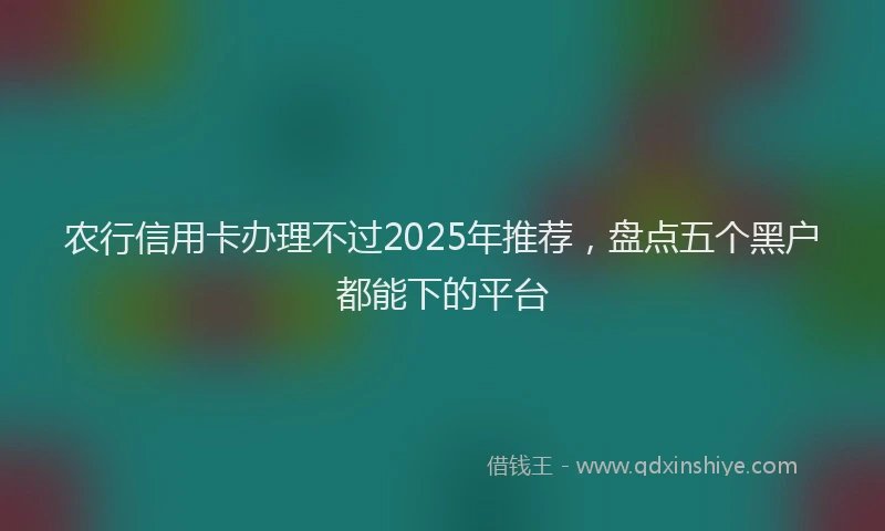 农行信用卡办理不过2025年推荐，盘点五个黑户都能下的平台