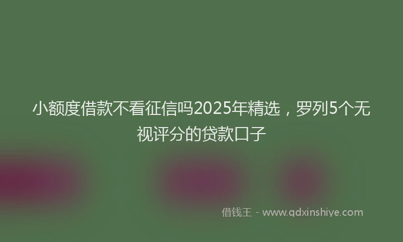 小额度借款不看征信吗2025年精选，罗列5个无视评分的贷款口子