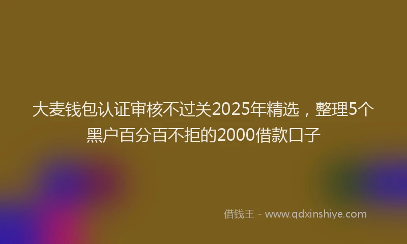 大麦钱包认证审核不过关2025年精选，整理5个黑户百分百不拒的2000借款口子