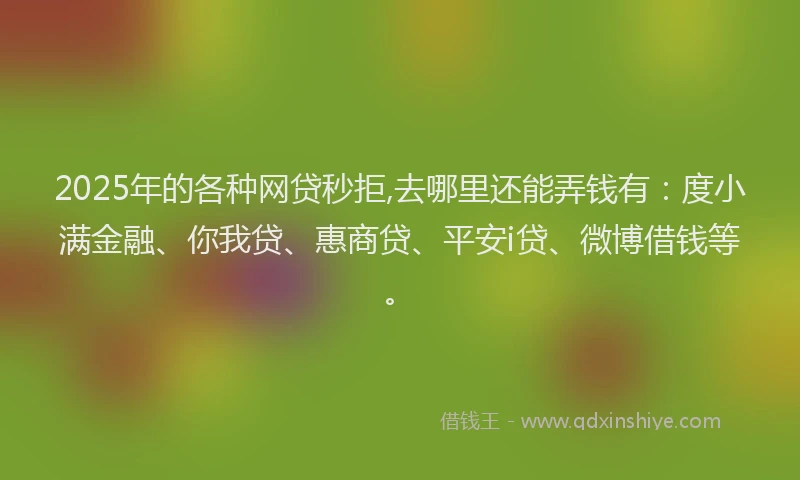 2025年的各种网贷秒拒,去哪里还能弄钱有：度小满金融、你我贷、惠商贷、平安i贷、微博借钱等。