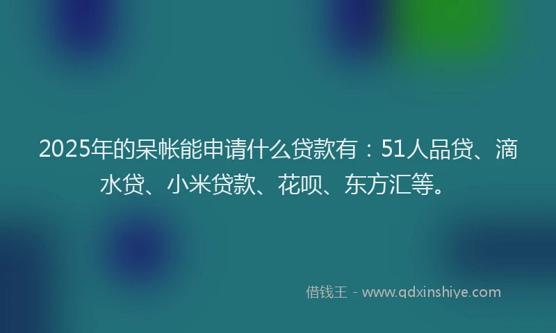 2025年的呆帐能申请什么贷款有：51人品贷、滴水贷、小米贷款、花呗、东方汇等。