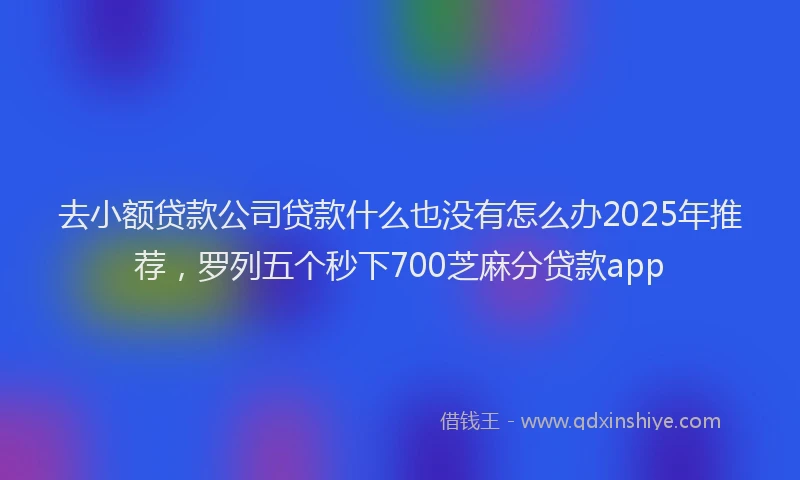 去小额贷款公司贷款什么也没有怎么办2025年推荐，罗列五个秒下700芝麻分贷款app