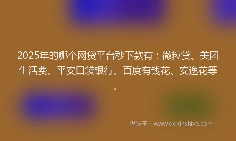 2025年的哪个网贷平台秒下款有：微粒贷、美团生活费、平安口袋银行、百度有钱花、安逸花等。