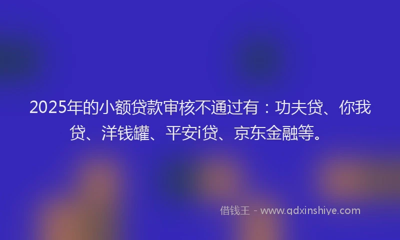 2025年的小额贷款审核不通过有：功夫贷、你我贷、洋钱罐、平安i贷、京东金融等。