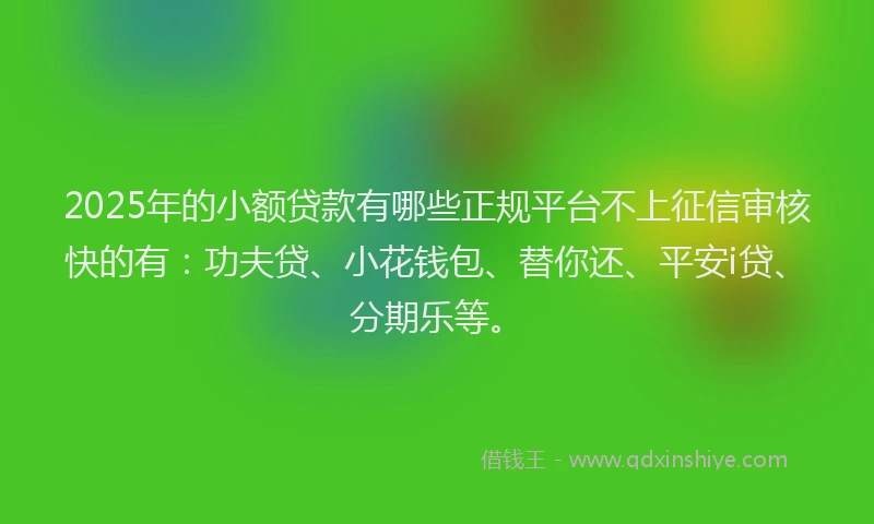2025年的小额贷款有哪些正规平台不上征信审核快的有：功夫贷、小花钱包、替你还、平安i贷、分期乐等。