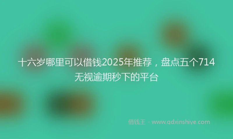 十六岁哪里可以借钱2025年推荐，盘点五个714无视逾期秒下的平台