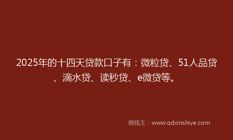 2025年的十四天贷款口子有：微粒贷、51人品贷、滴水贷、读秒贷、e微贷等。