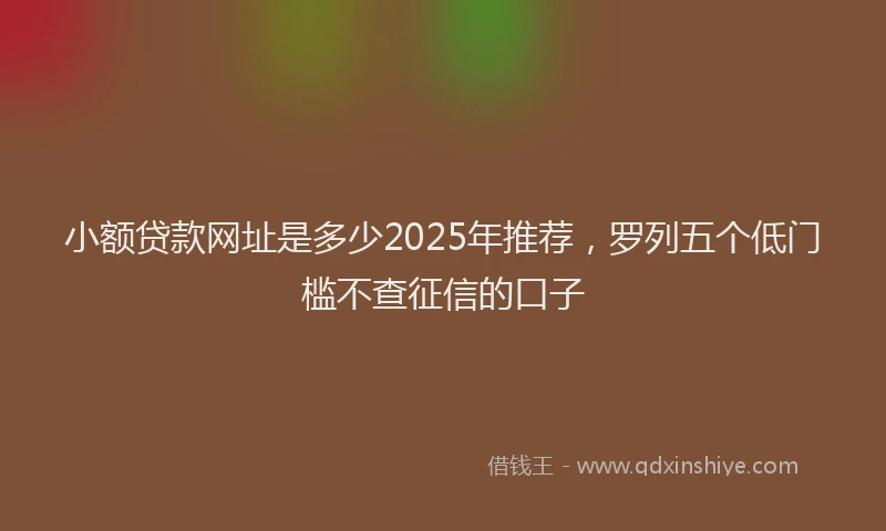 小额贷款网址是多少2025年推荐，罗列五个低门槛不查征信的口子