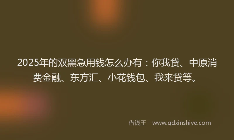 2025年的双黑急用钱怎么办有：你我贷、中原消费金融、东方汇、小花钱包、我来贷等。