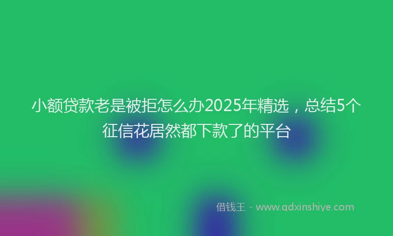 小额贷款老是被拒怎么办2025年精选，总结5个征信花居然都下款了的平台