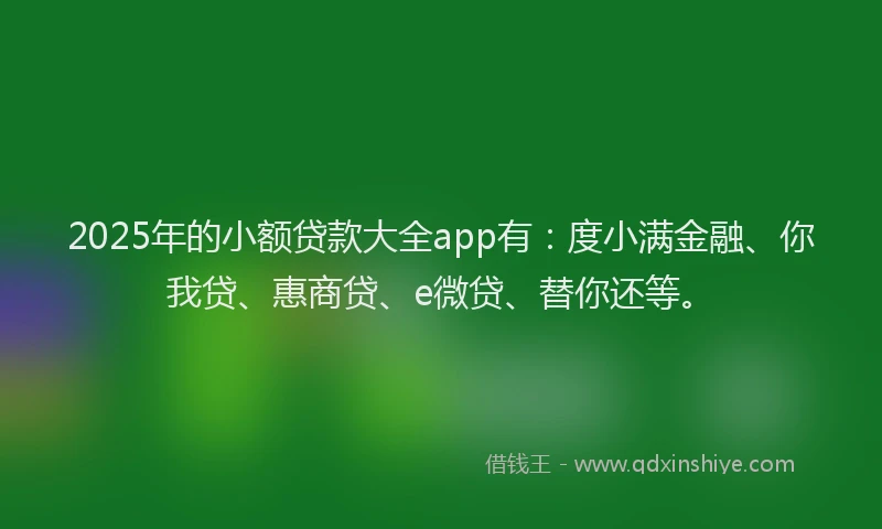 2025年的小额贷款大全app有：度小满金融、你我贷、惠商贷、e微贷、替你还等。