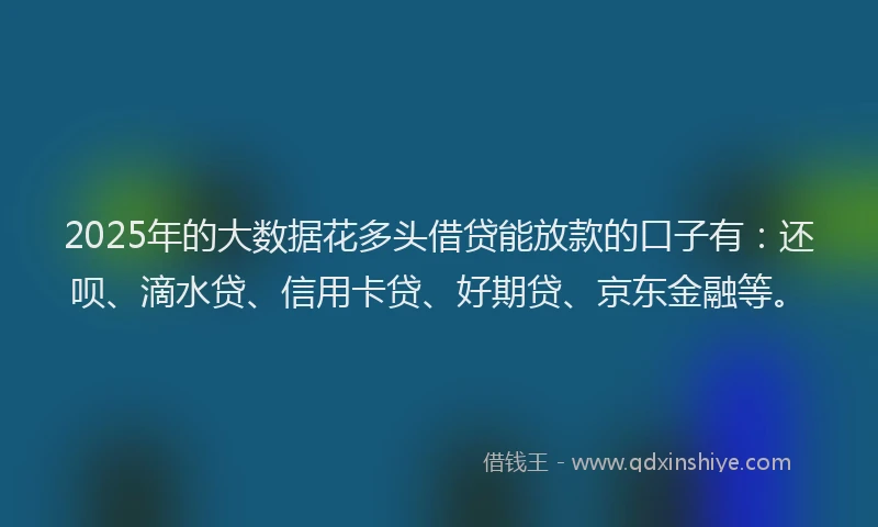 2025年的大数据花多头借贷能放款的口子有：还呗、滴水贷、信用卡贷、好期贷、京东金融等。