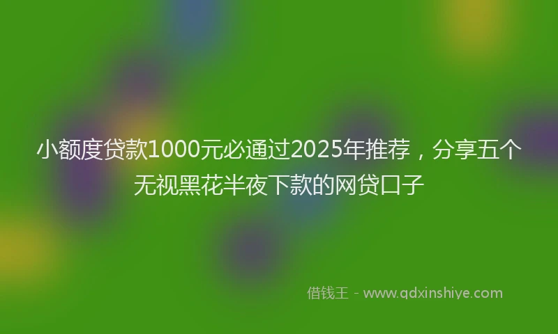 小额度贷款1000元必通过2025年推荐，分享五个无视黑花半夜下款的网贷口子