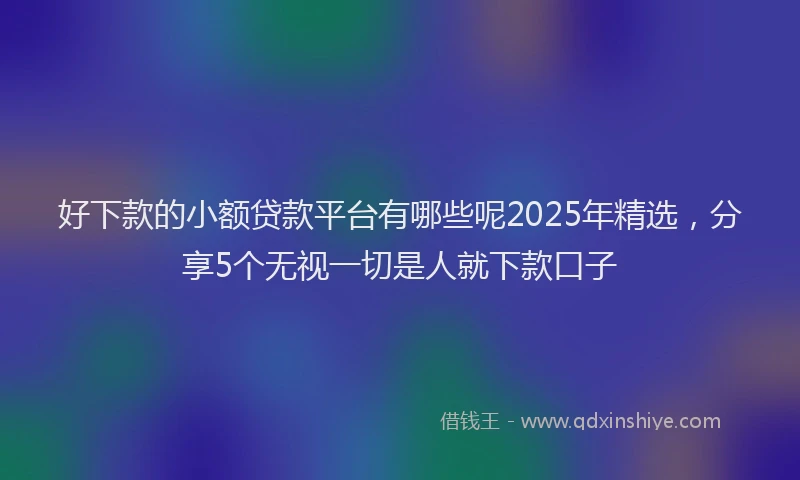 好下款的小额贷款平台有哪些呢2025年精选，分享5个无视一切是人就下款口子