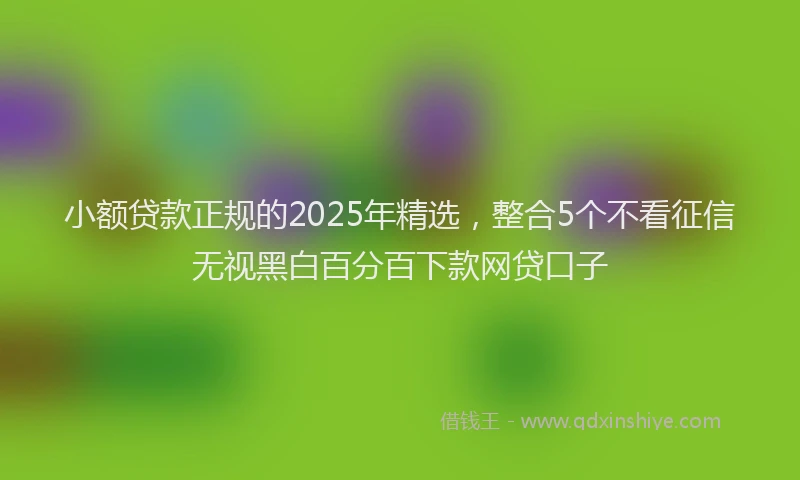 小额贷款正规的2025年精选，整合5个不看征信无视黑白百分百下款网贷口子
