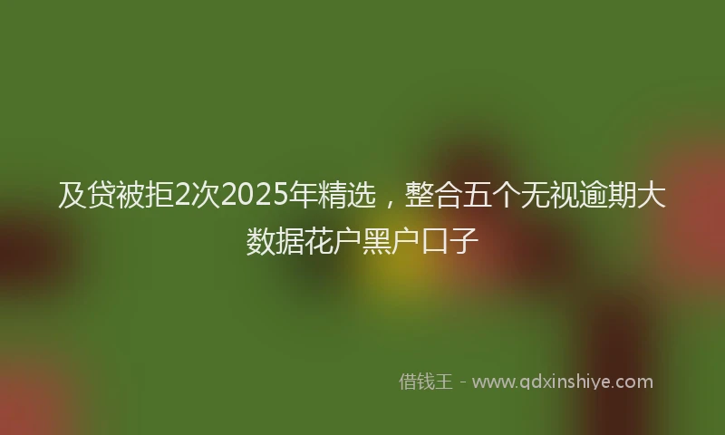 及贷被拒2次2025年精选，整合五个无视逾期大数据花户黑户口子