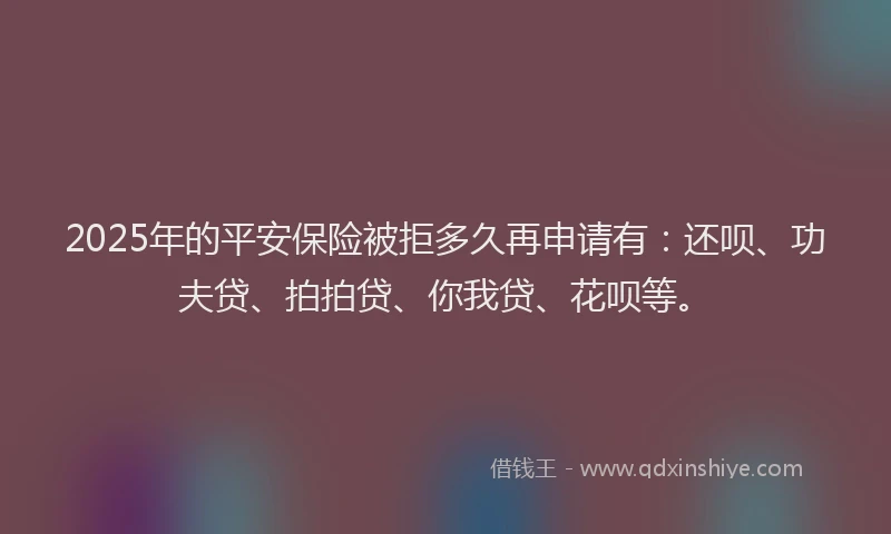 2025年的平安保险被拒多久再申请有：还呗、功夫贷、拍拍贷、你我贷、花呗等。