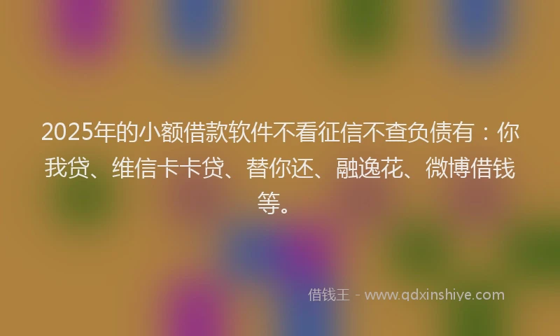 2025年的小额借款软件不看征信不查负债有：你我贷、维信卡卡贷、替你还、融逸花、微博借钱等。