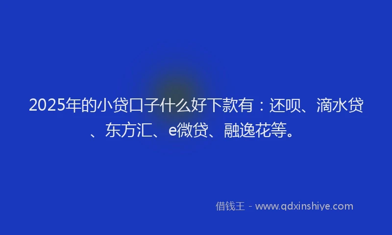 2025年的小贷口子什么好下款有：还呗、滴水贷、东方汇、e微贷、融逸花等。