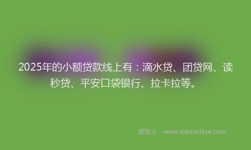 2025年的小额贷款线上有：滴水贷、团贷网、读秒贷、平安口袋银行、拉卡拉等。