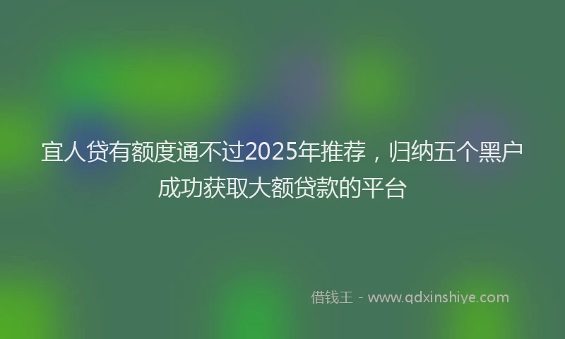 宜人贷有额度通不过2025年推荐，归纳五个黑户成功获取大额贷款的平台