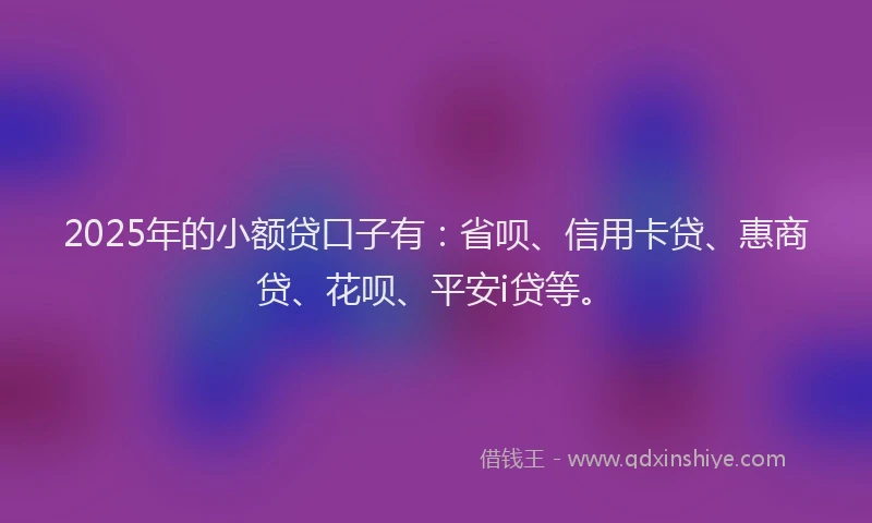2025年的小额贷口子有：省呗、信用卡贷、惠商贷、花呗、平安i贷等。