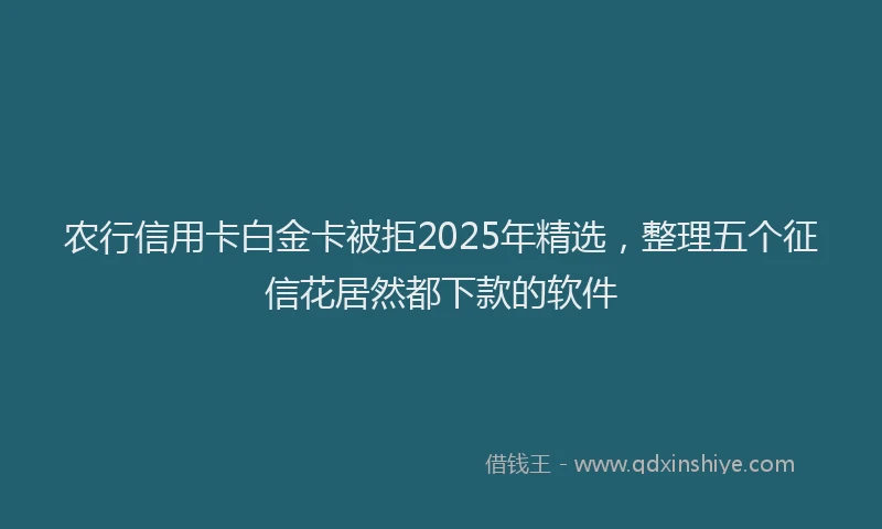 农行信用卡白金卡被拒2025年精选，整理五个征信花居然都下款的软件